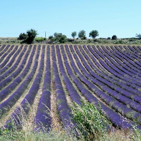 La Terrasse D'Olea, Au Coeur Du Village Бюи-ле-Барони Екстериор снимка